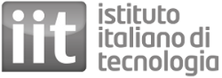 Istituto Italiano di Tecnologia (IIT)